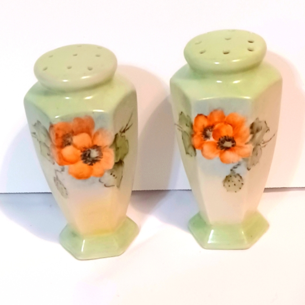 Lefton Hand Painted Floral Pair Salt & Pepper Shakers